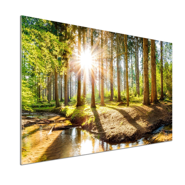 Dekorační panel sklo Panorama les