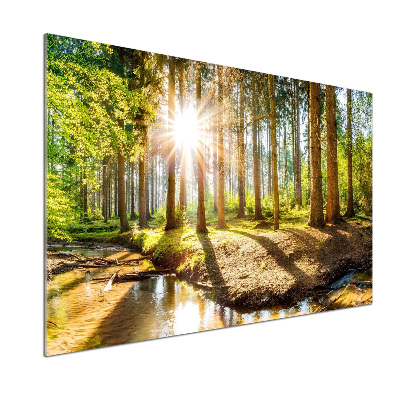 Dekorační panel sklo Panorama les