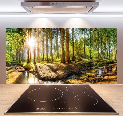 Dekorační panel sklo Panorama les