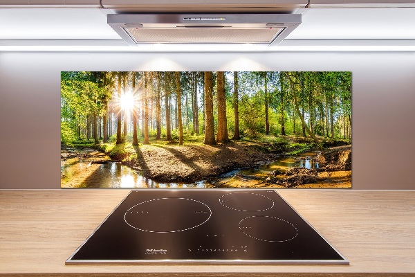 Dekorační panel sklo Panorama les
