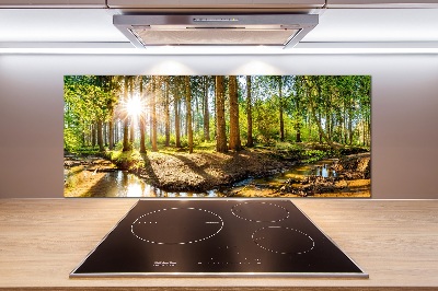 Dekorační panel sklo Panorama les