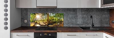 Dekorační panel sklo Panorama les