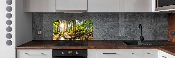 Dekorační panel sklo Panorama les