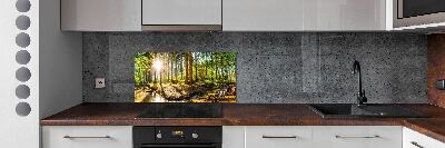 Dekorační panel sklo Panorama les
