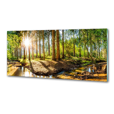Dekorační panel sklo Panorama les