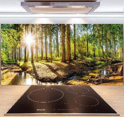 Dekorační panel sklo Panorama les