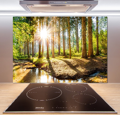 Dekorační panel sklo Panorama les