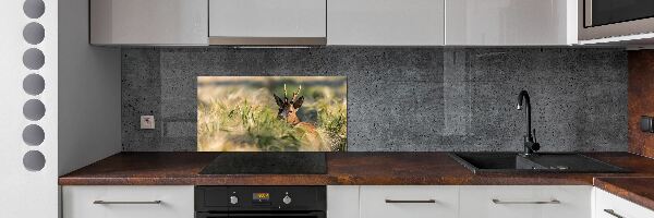 Dekorační panel sklo Jelen na poli