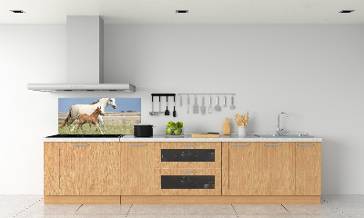 Panel lacobel Kobyla a hříbě