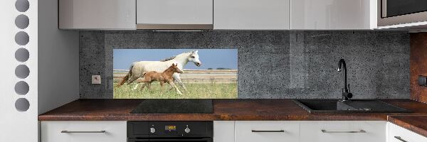Panel lacobel Kobyla a hříbě