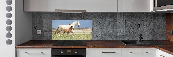 Panel lacobel Kobyla a hříbě