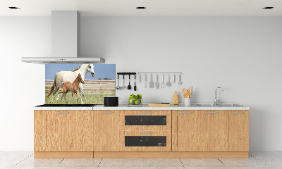 Panel lacobel Kobyla a hříbě