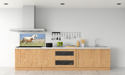 Panel lacobel Kobyla a hříbě