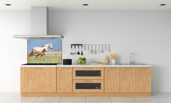 Panel lacobel Kobyla a hříbě