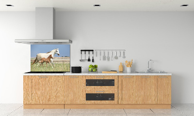 Panel lacobel Kobyla a hříbě