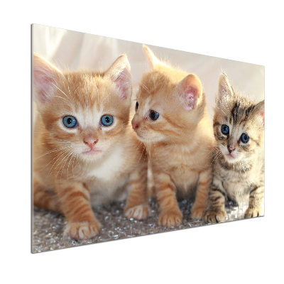 Skleněný panel do kuchynské linky Malé kočky