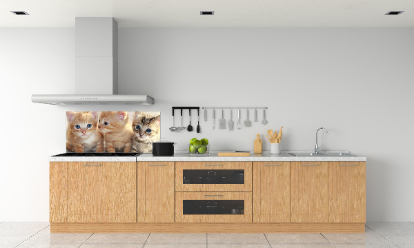 Skleněný panel do kuchynské linky Malé kočky