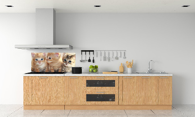 Skleněný panel do kuchynské linky Malé kočky