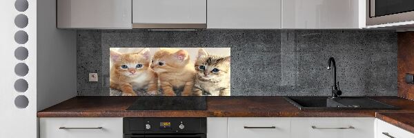 Skleněný panel do kuchynské linky Malé kočky