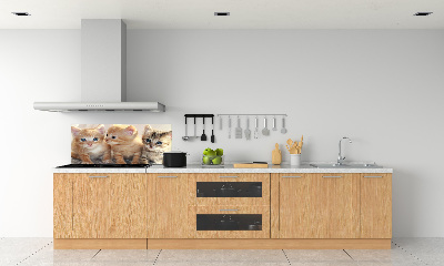 Skleněný panel do kuchynské linky Malé kočky