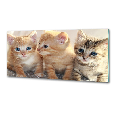 Skleněný panel do kuchynské linky Malé kočky