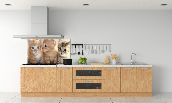 Skleněný panel do kuchynské linky Malé kočky