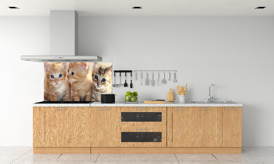 Skleněný panel do kuchynské linky Malé kočky