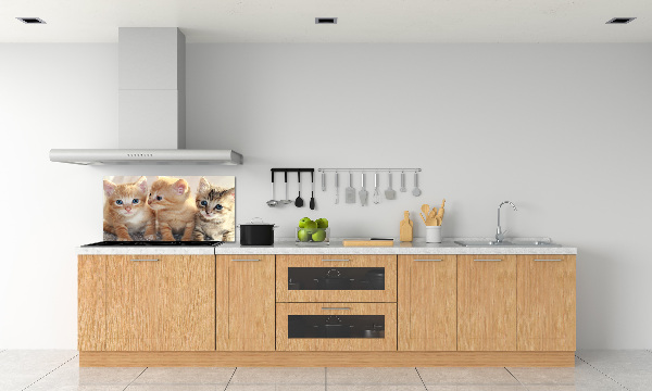 Skleněný panel do kuchynské linky Malé kočky
