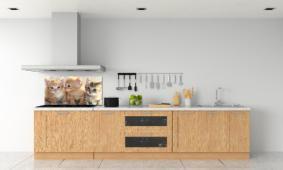 Skleněný panel do kuchynské linky Malé kočky