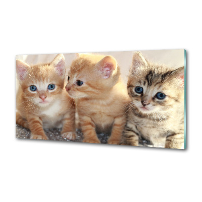 Skleněný panel do kuchynské linky Malé kočky