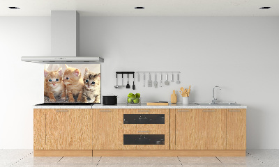 Skleněný panel do kuchynské linky Malé kočky