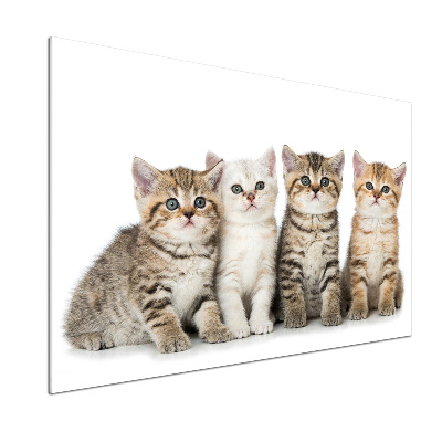 Skleněný panel do kuchynské linky Malé kočky