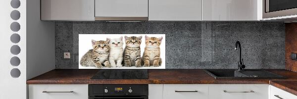 Skleněný panel do kuchynské linky Malé kočky