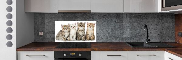 Skleněný panel do kuchynské linky Malé kočky