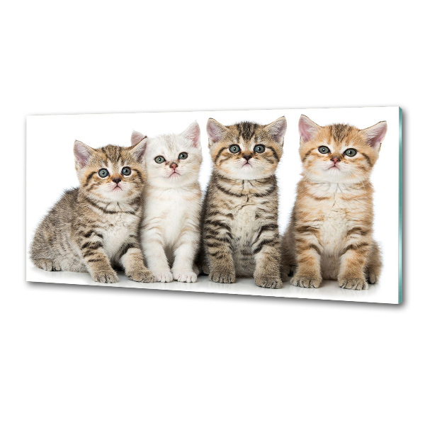 Skleněný panel do kuchynské linky Malé kočky