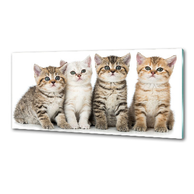 Skleněný panel do kuchynské linky Malé kočky