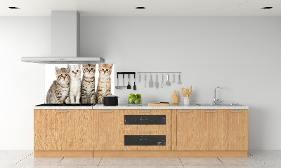 Skleněný panel do kuchynské linky Malé kočky
