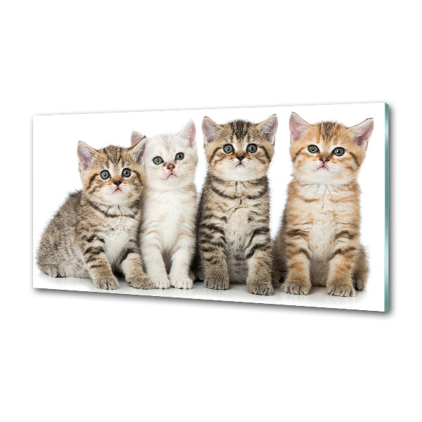 Skleněný panel do kuchynské linky Malé kočky