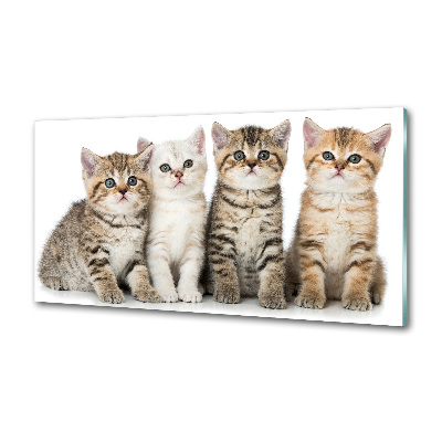 Skleněný panel do kuchynské linky Malé kočky