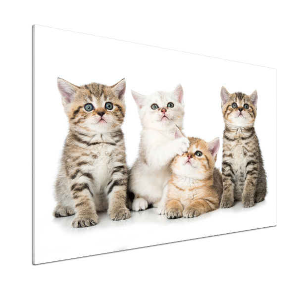 Skleněný panel do kuchynské linky Malé kočky