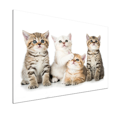 Skleněný panel do kuchynské linky Malé kočky