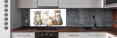 Skleněný panel do kuchynské linky Malé kočky