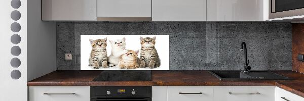 Skleněný panel do kuchynské linky Malé kočky