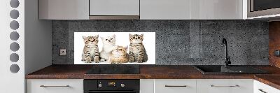 Skleněný panel do kuchynské linky Malé kočky