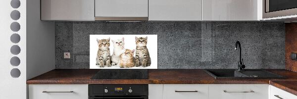 Skleněný panel do kuchynské linky Malé kočky