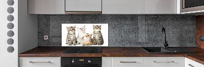 Skleněný panel do kuchynské linky Malé kočky
