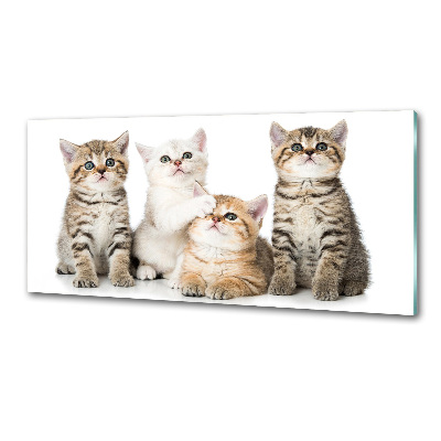 Skleněný panel do kuchynské linky Malé kočky