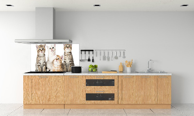 Skleněný panel do kuchynské linky Malé kočky