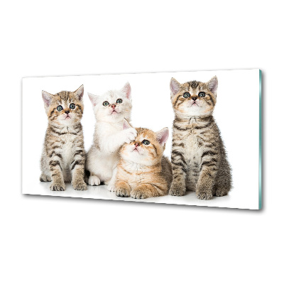 Skleněný panel do kuchynské linky Malé kočky