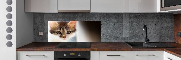 Skleněný panel do kuchynské linky Malá kočka